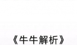 牛牛视频下载,轻松获取海量视频资源攻略